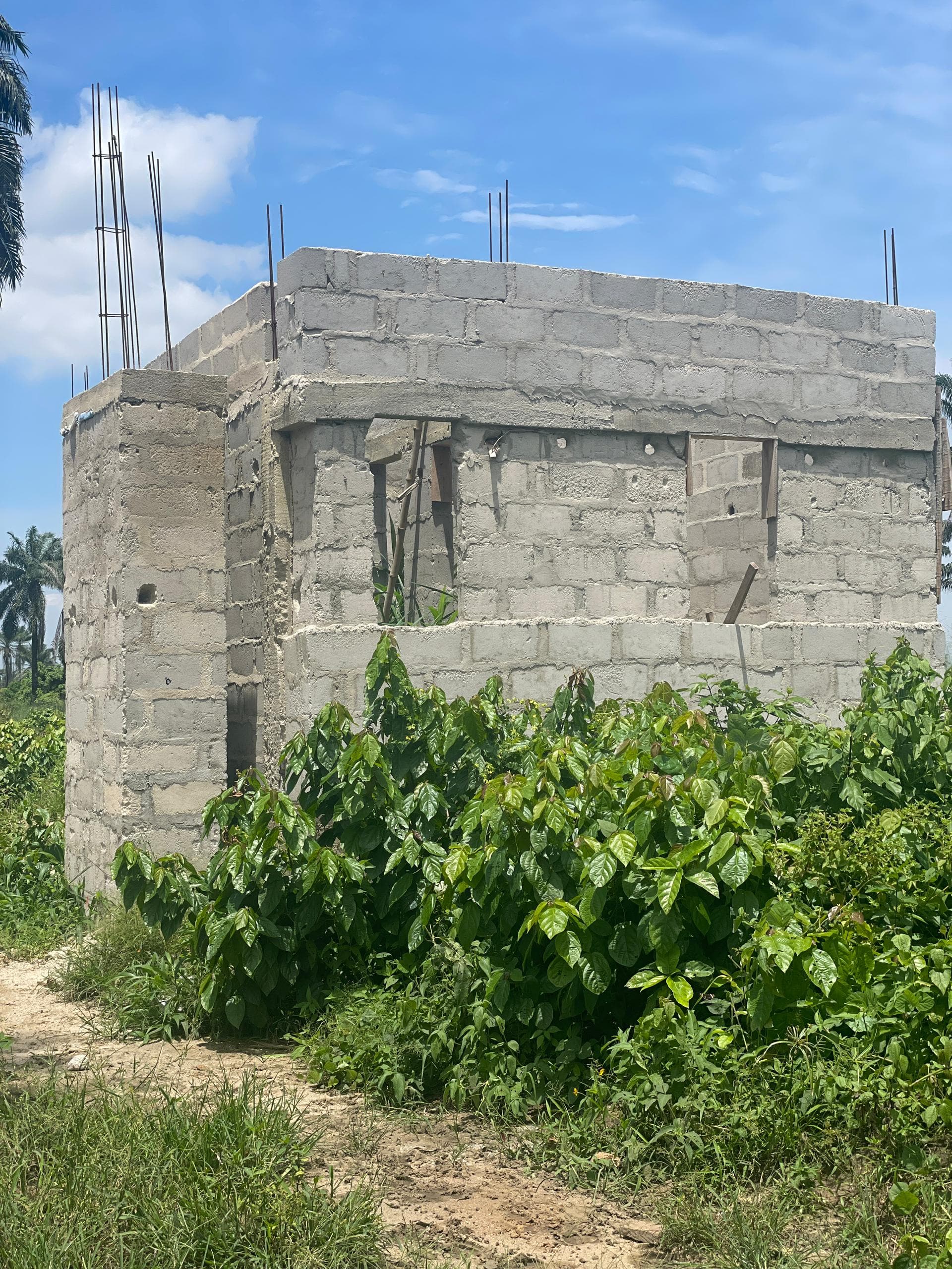 Site Progress Update: Eastlake Gardens Gaining Ground